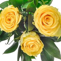 Dozen Yellow Rose Handtied