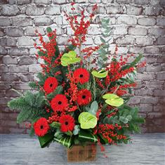 Fireside The Designers Choice Arrangement